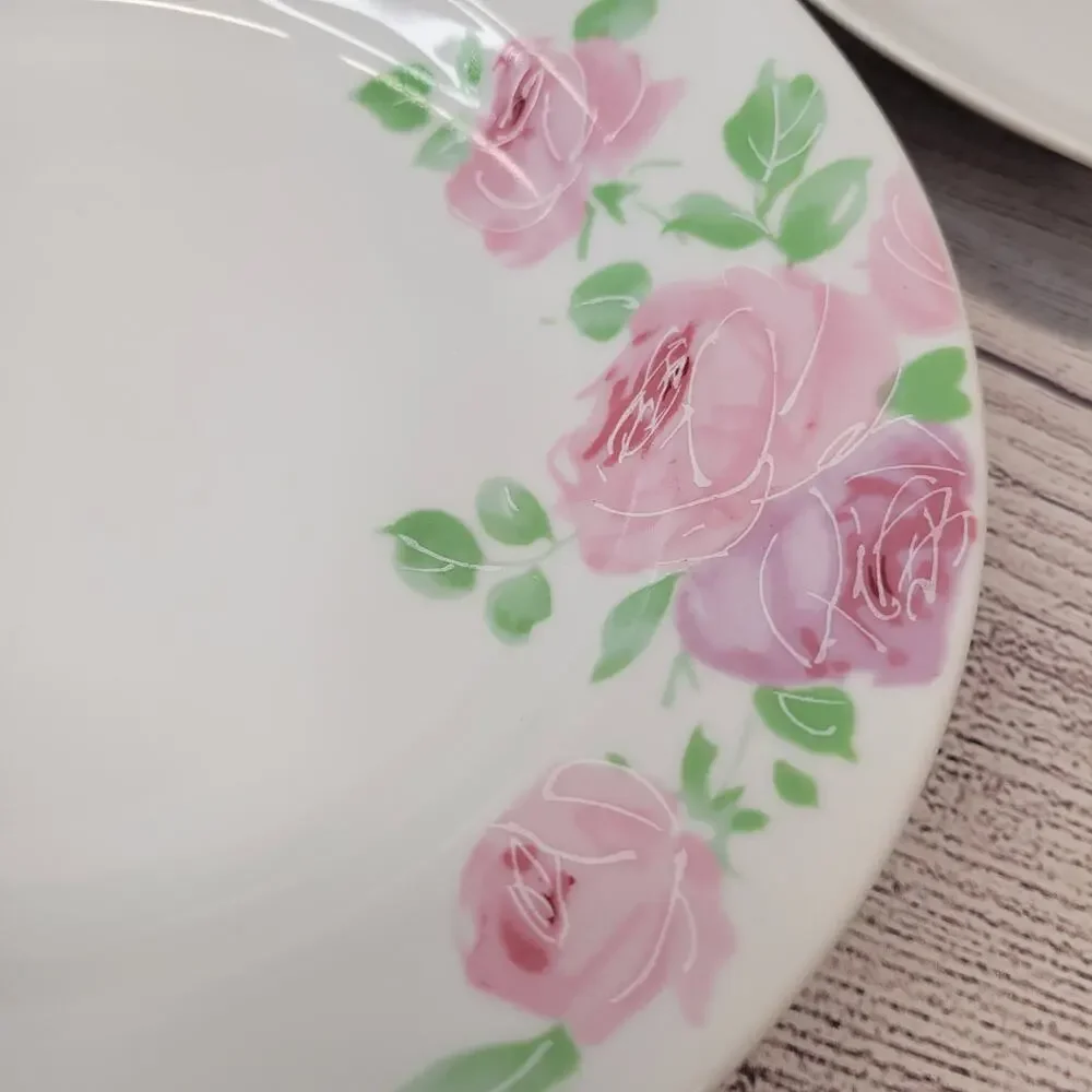 Pier 1 Vintage Rose Jardin Hand Painted China Dinner & Salad Plate Set